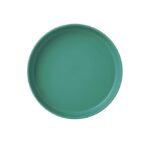 Plastic Reusable Serving Plate - Image 6
